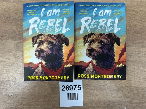 I Am Rebel by Ross Montgomery — New (other) (photo 4)