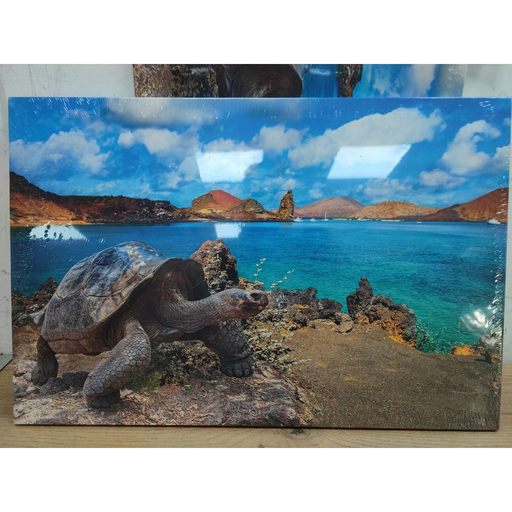Canvas Wall Art 16"x24"–A Colorful Sea Turtle on The Beach –Home Decor Paintings