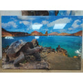 Canvas Wall Art 16"x24"–A Colorful Sea Turtle on The Beach –Home Decor Paintings