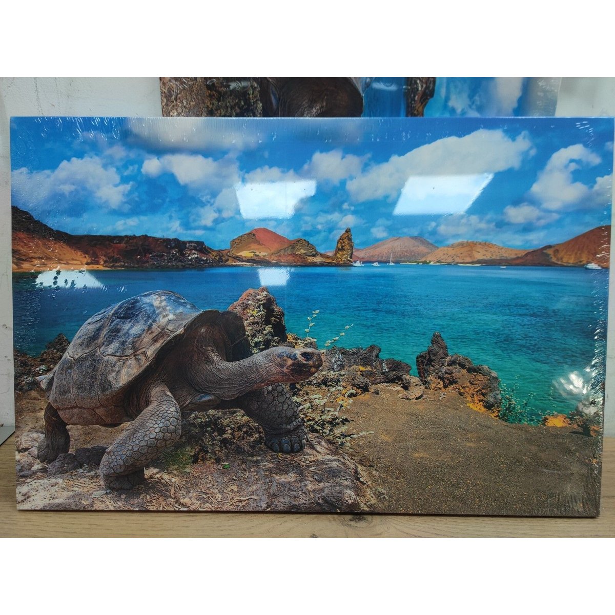 Canvas Wall Art 16"x24"–A Colorful Sea Turtle on The Beach –Home Decor Paintings
