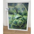 Americanflat A2 Picture Frame with Polished Plexiglass - 16.5x23.4 Frame