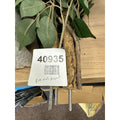 Artificial tree leaf