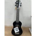 World Rhythm Acoustic Guitar - Small Body Cutaway Guitar