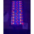 DragonLight 2025 Newest BW2000 LED Grow Lights Double Chips Full Spectrum with 3