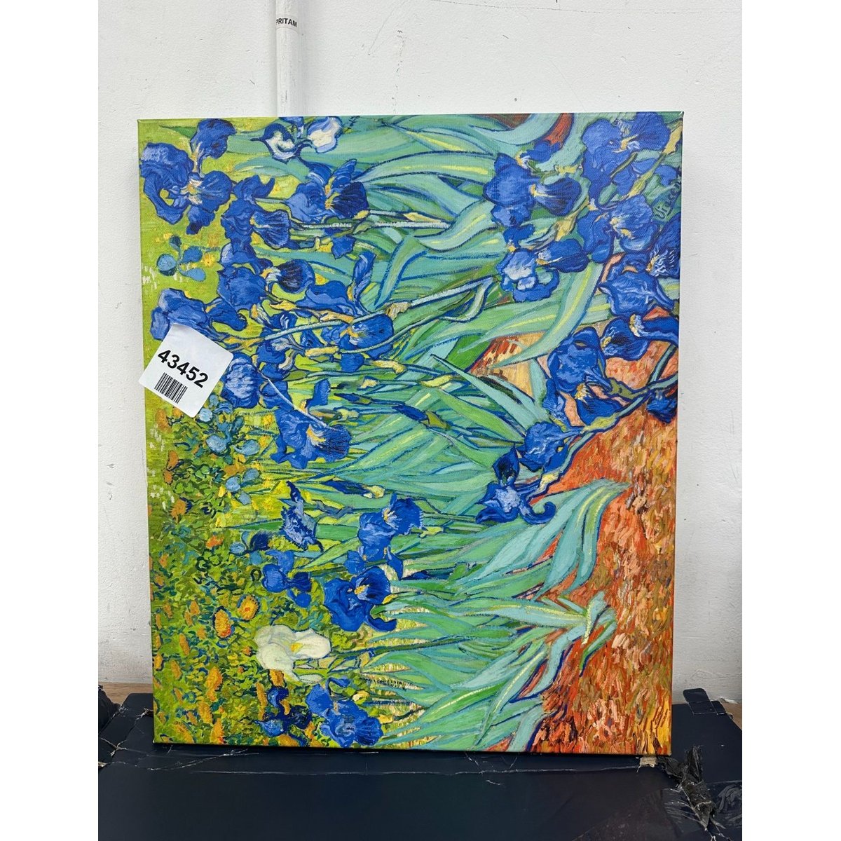 Wieco Art - Irises Large Modern Gallery Wrapped Floral Giclee Canvas Print By Va