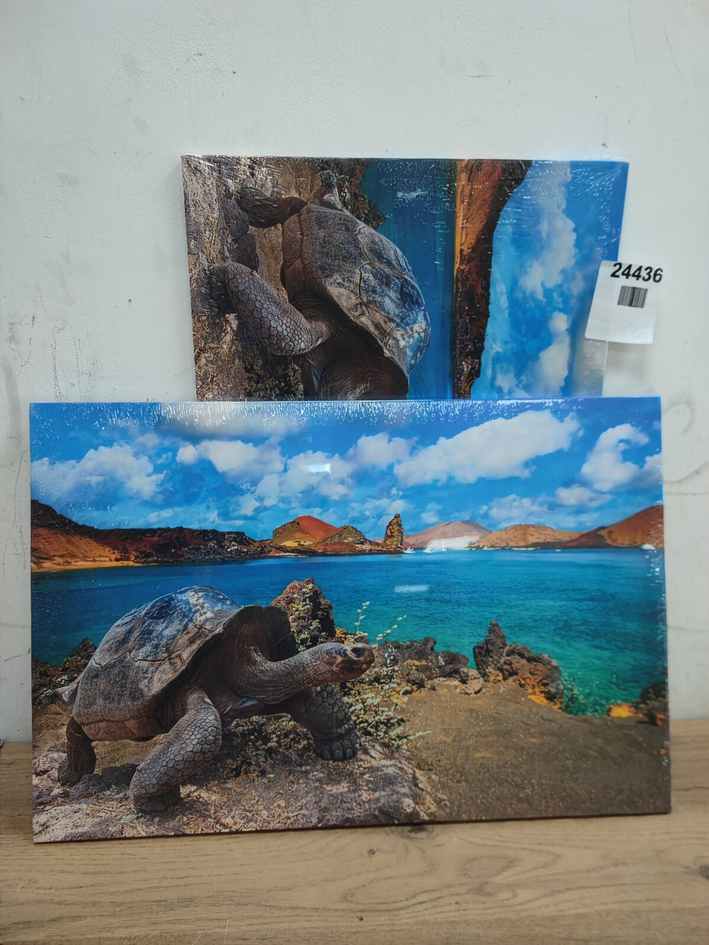 Canvas Wall Art 16"x24"–A Colorful Sea Turtle on The Beach –Home Decor Paintings