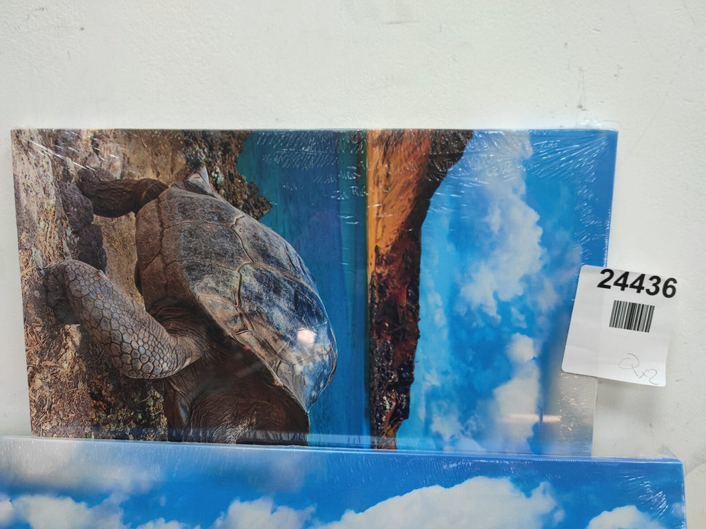 Canvas Wall Art 16"x24"–A Colorful Sea Turtle on The Beach –Home Decor Paintings